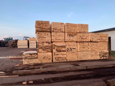 建筑木方 (12)